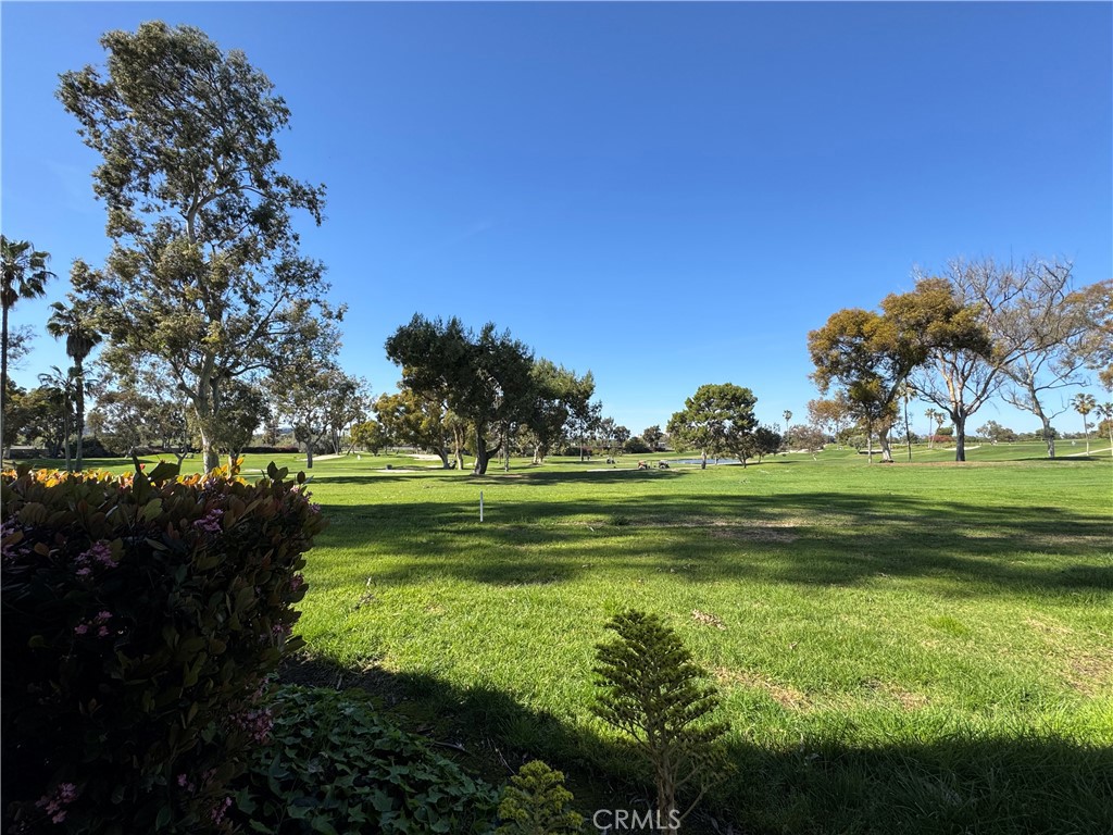 4 Flores Irvine, CA 92612 - Photo 3 of 30