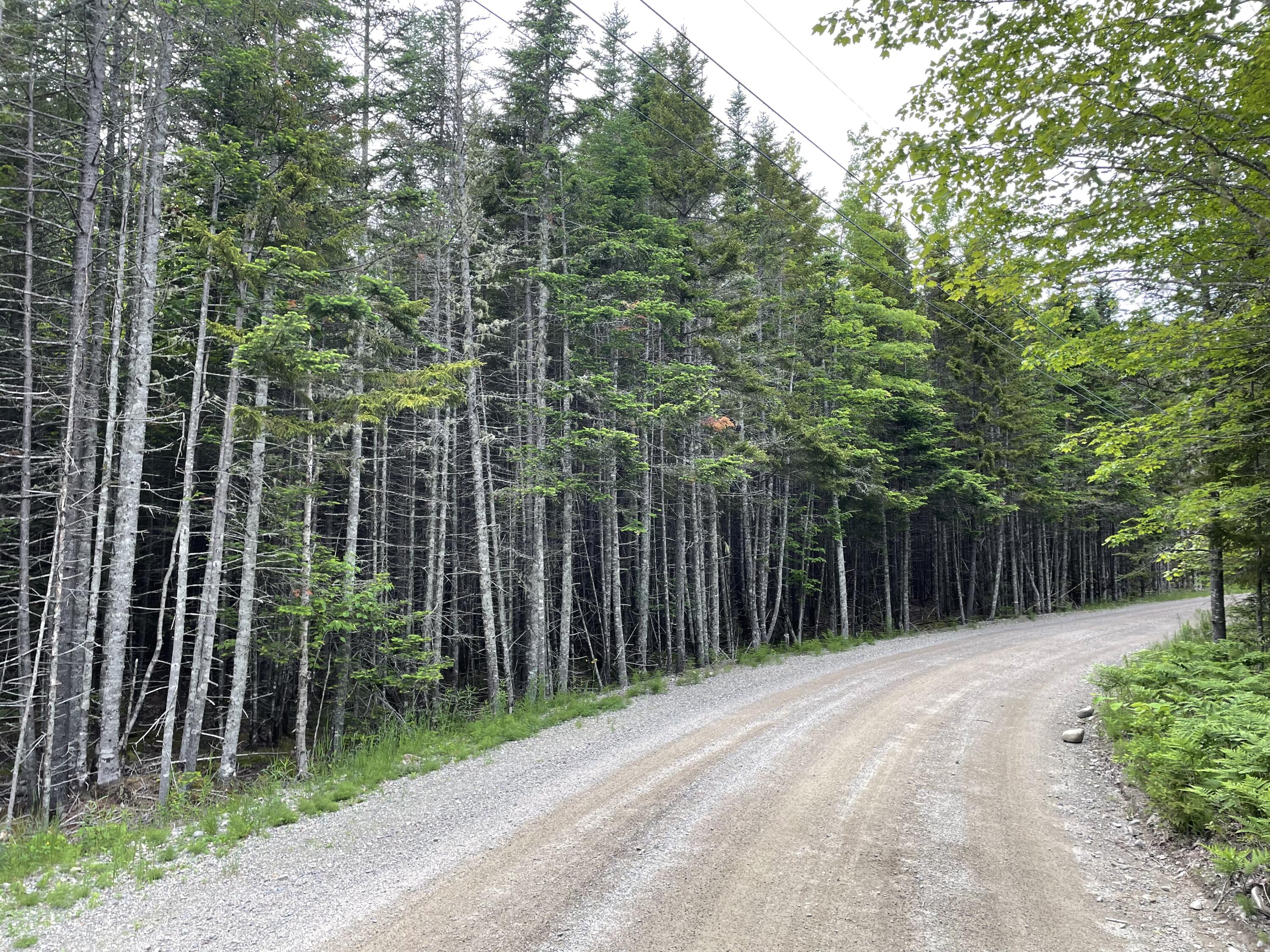 Lot 19 High Head Road East Machias, ME 04630 - Photo 2 of 2 image_50727425