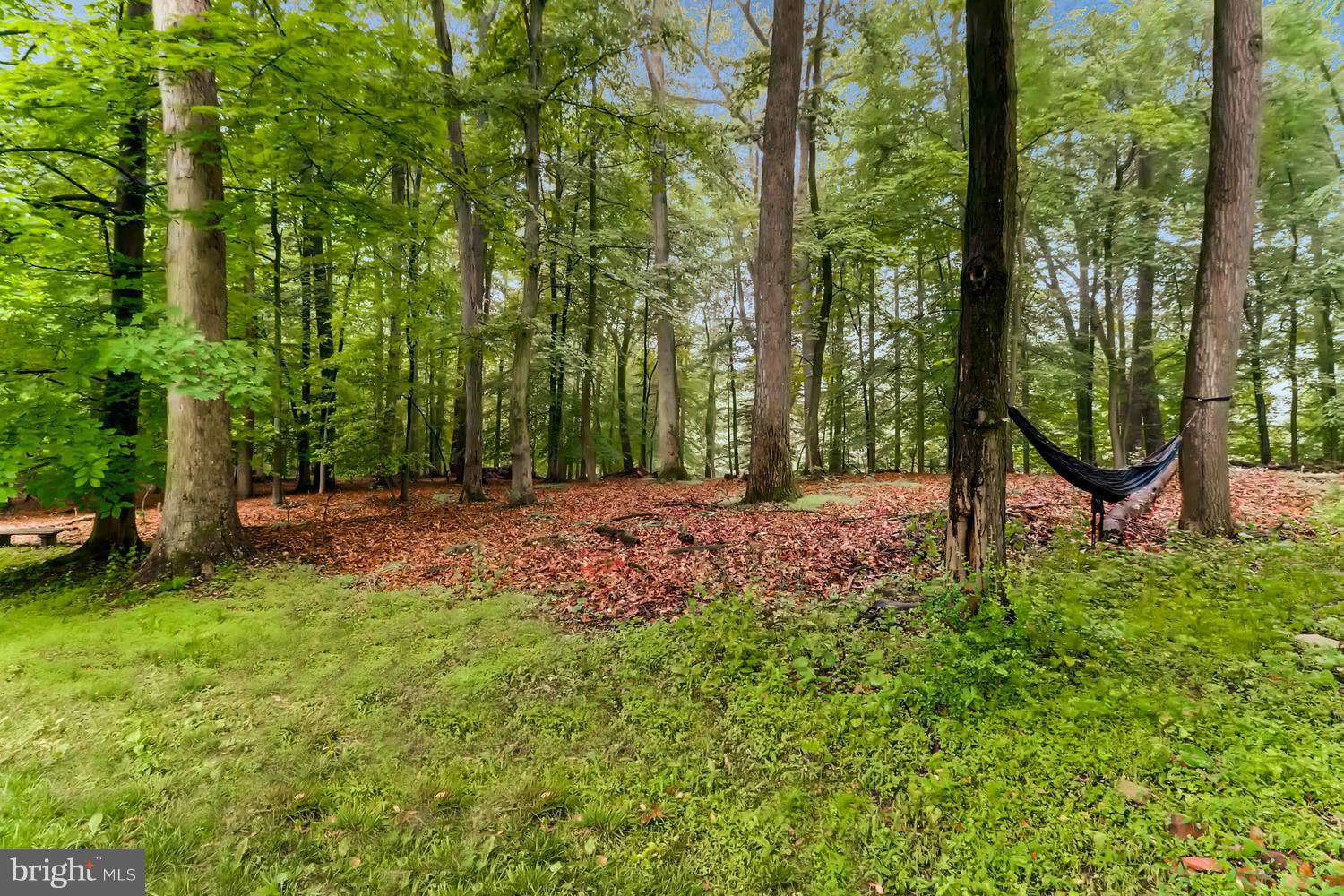 11000 Baronet Road Owings Mills, MD 21117 - Photo 22 of 23 Exterior (General)