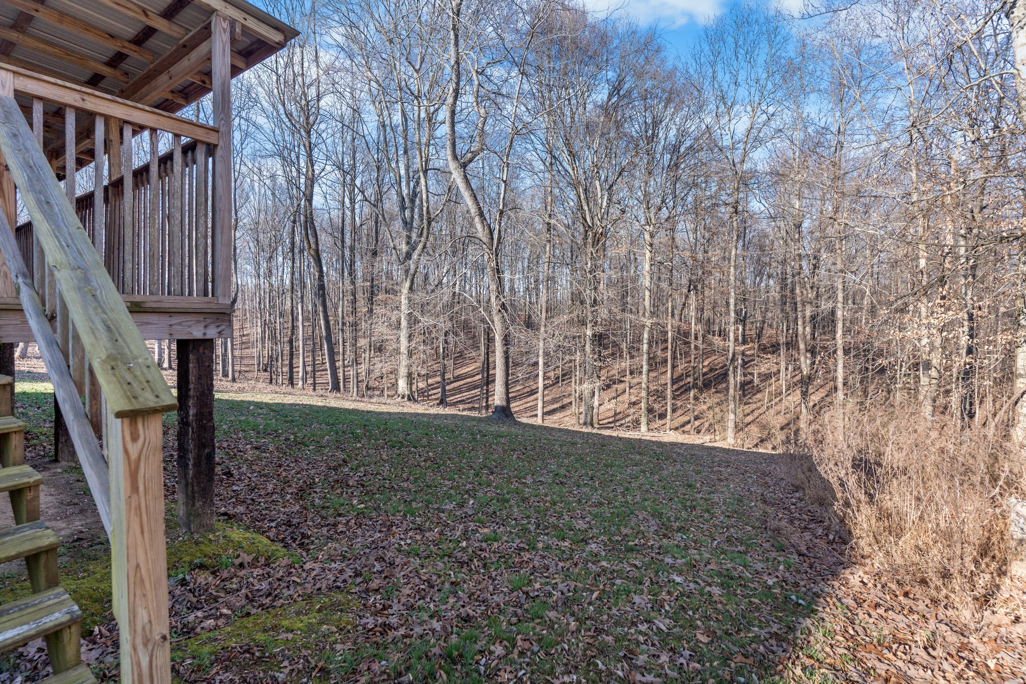 590 Jackson Hollow Road Goodspring, TN 38460 - Photo 20 of 37 a view of wooden floor in front of a house