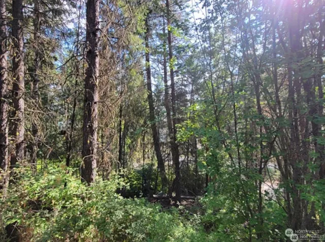 $114,888 | 6 Twana Drive, Inchelium, WA 99138