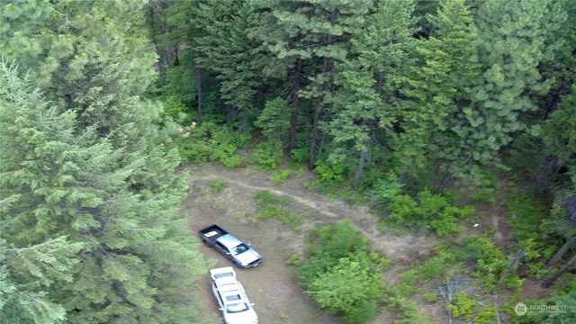 an aerial view of a forest with lots of trees