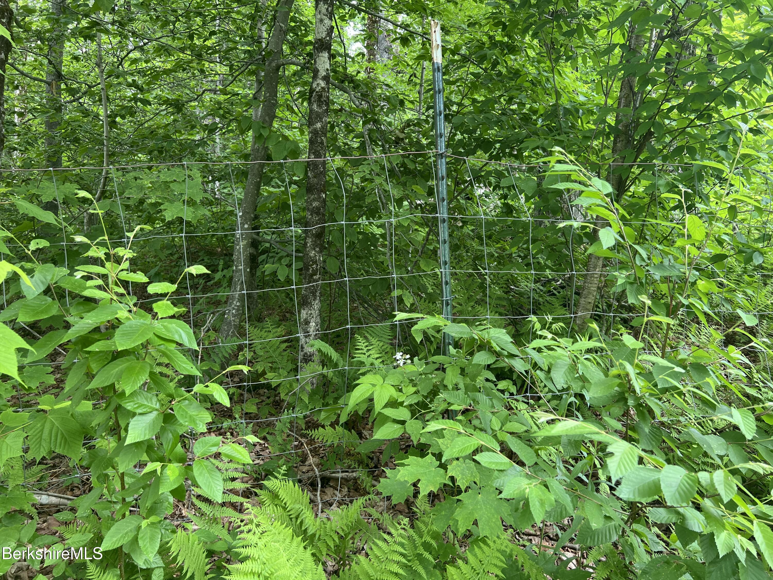 3 Jacobs Ladder Road Becket, MA 01223 - Photo 4 of 5 IMG_4546