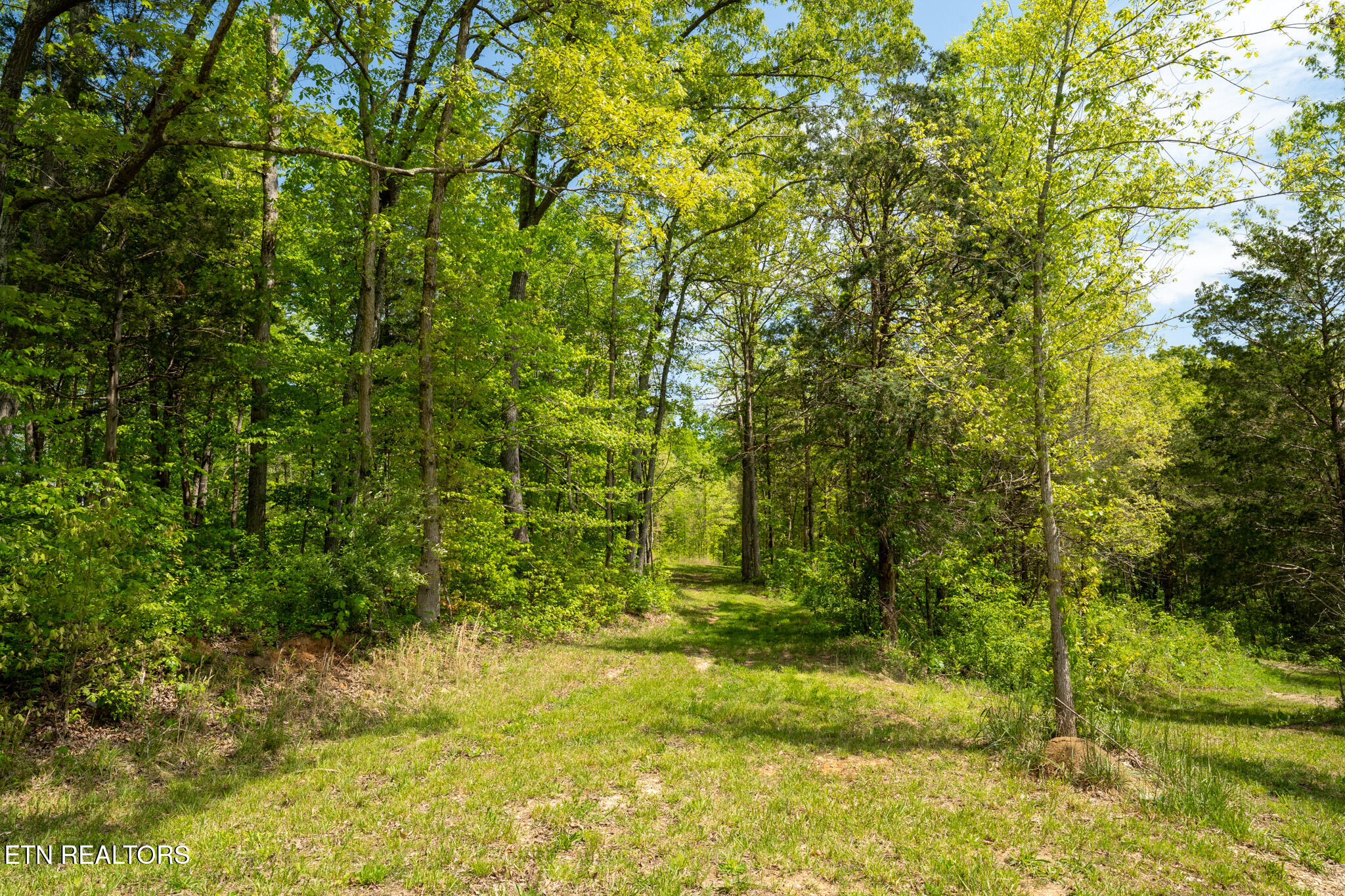 674 Paint Rock Valley Road Philadelphia, TN 37846 - Photo 25 of 27 Lot 2 in Philadelphia -09