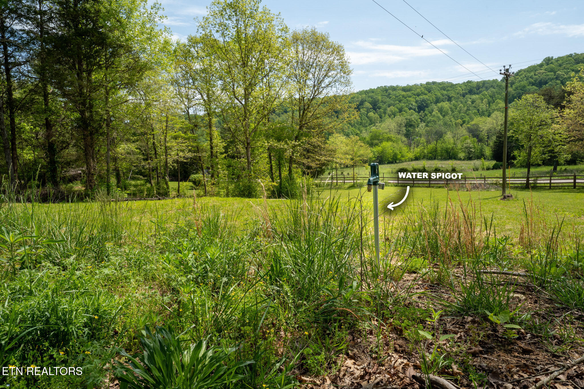 674 Paint Rock Valley Road Philadelphia, TN 37846 - Photo 5 of 27 Lot 2 in Philadelphia -05E