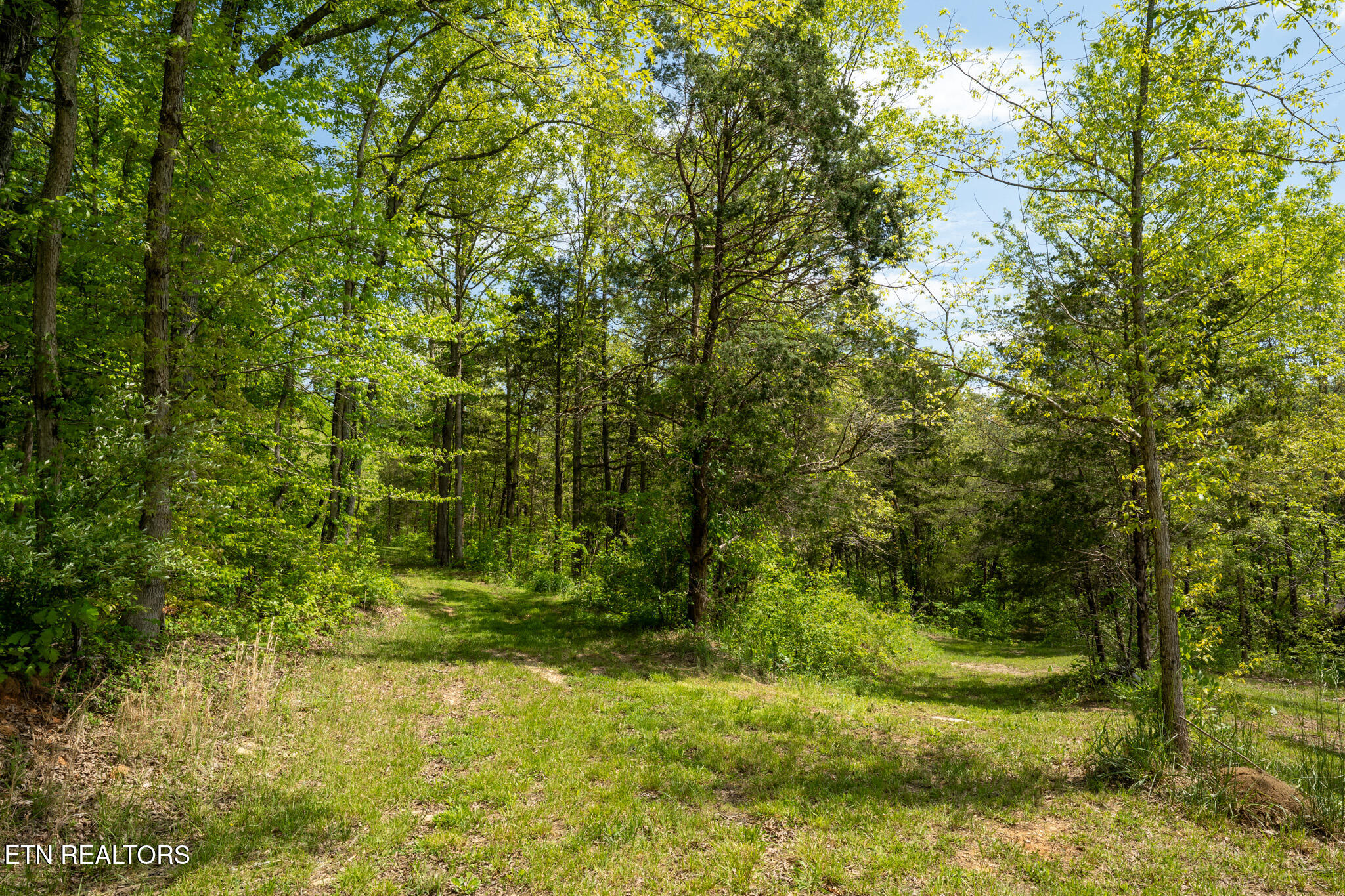 674 Paint Rock Valley Road Philadelphia, TN 37846 - Photo 9 of 27 Lot 2 in Philadelphia -10
