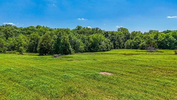 a view of a field with a tree in the background