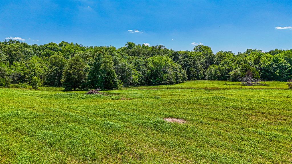 301 County Road Kerens, TX 75144 - Photo 12 of 39 a view of a field with a tree in the background