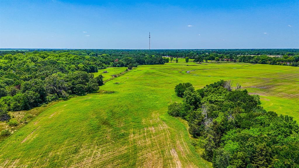 301 County Road Kerens, TX 75144 - Photo 14 of 39 a view of a big yard with plants and large trees