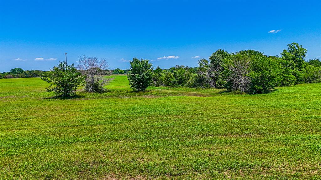 301 County Road Kerens, TX 75144 - Photo 16 of 39 a view of a garden with a building in the background