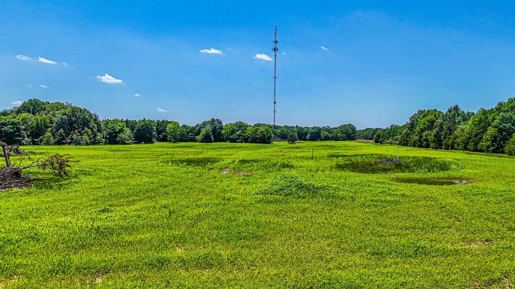 301 County Road Kerens, TX 75144 - Photo 17 of 39 a view of a grassy field with trees in the background