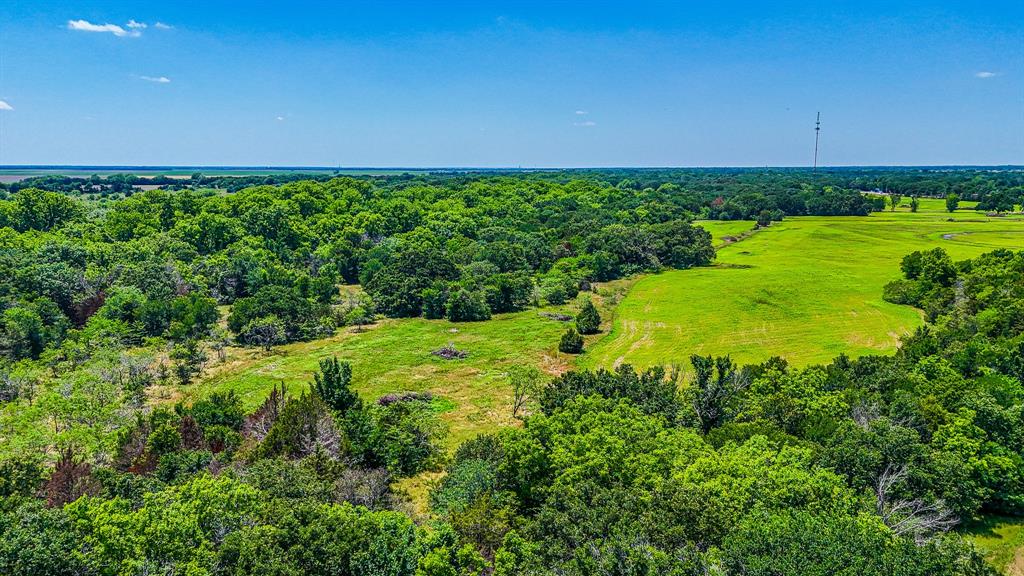 301 County Road Kerens, TX 75144 - Photo 22 of 39 a view of a garden