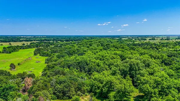 a view of a yard with an outdoor space