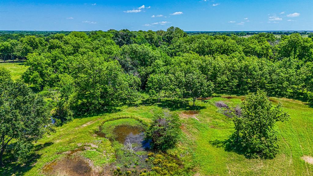 301 County Road Kerens, TX 75144 - Photo 26 of 39 a view of outdoor space and yard