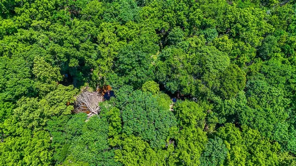 a backyard of a house with lots of green space