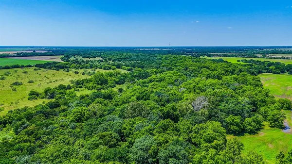 a view of a green field with lots of bushes