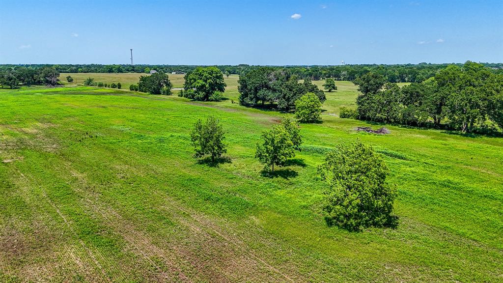 301 County Road Kerens, TX 75144 - Photo 3 of 39 a view of a green field with lots of green space