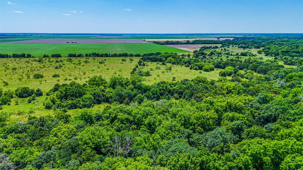 301 County Road Kerens, TX 75144 - Photo 31 of 39 a view of a garden