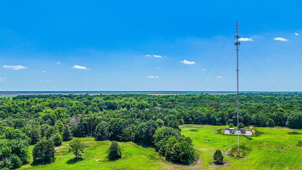 301 County Road Kerens, TX 75144 - Photo 35 of 39 a view of a big yard