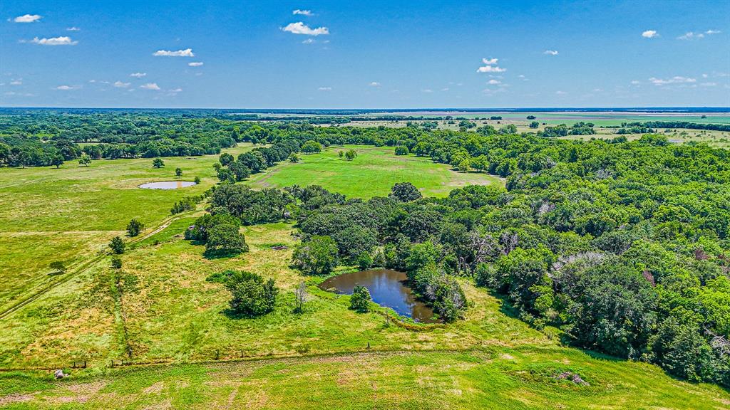 301 County Road Kerens, TX 75144 - Photo 36 of 39 a view of a garden with an outdoor space