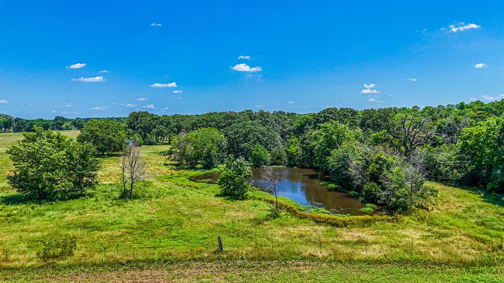 301 County Road Kerens, TX 75144 - Photo 37 of 39 a view of a garden