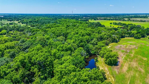 a view of a garden with an outdoor space