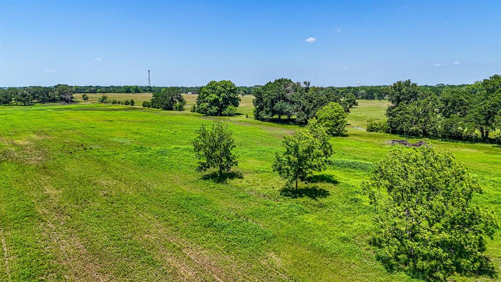 301 County Road Kerens, TX 75144 - Photo 4 of 39 a view of a big yard with a large trees and plants