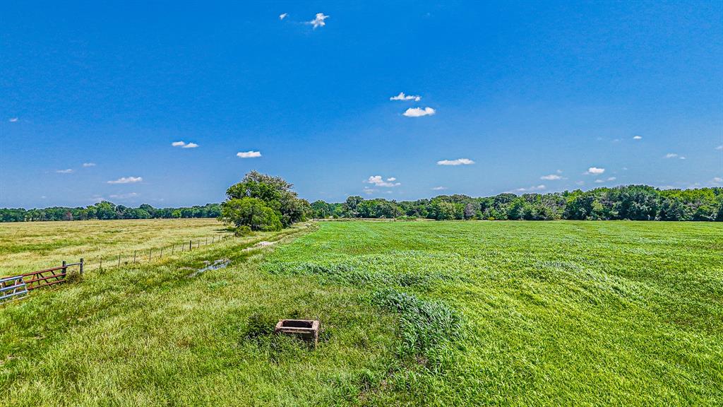 301 County Road Kerens, TX 75144 - Photo 6 of 39 a backyard of a house with lots of green space and garden view