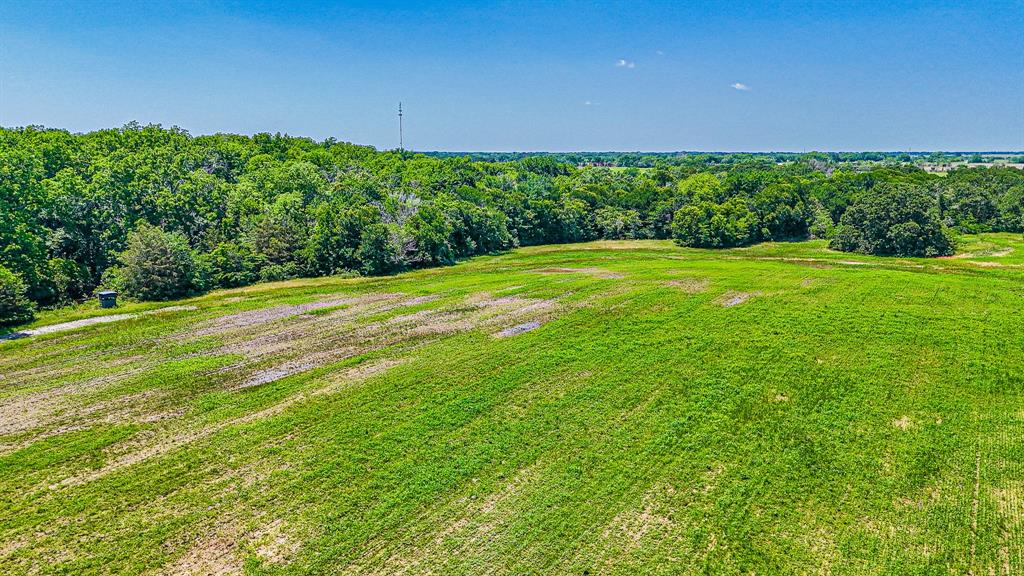 301 County Road Kerens, TX 75144 - Photo 7 of 39 a view of a back yard