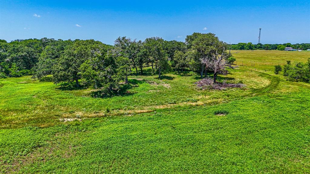 301 County Road Kerens, TX 75144 - Photo 8 of 39 a view of a garden with a building in the background