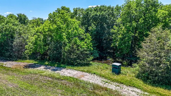 a view of a back yard