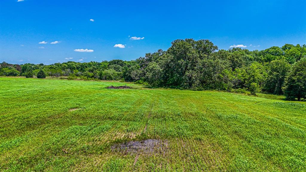 301 County Road Kerens, TX 75144 - Photo 10 of 39 a view of a green field with trees in the background