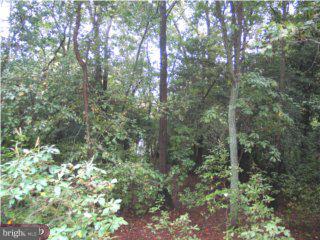 238 Sheppards Mill Road Bridgeton, NJ 08302 - Photo 6 of 6