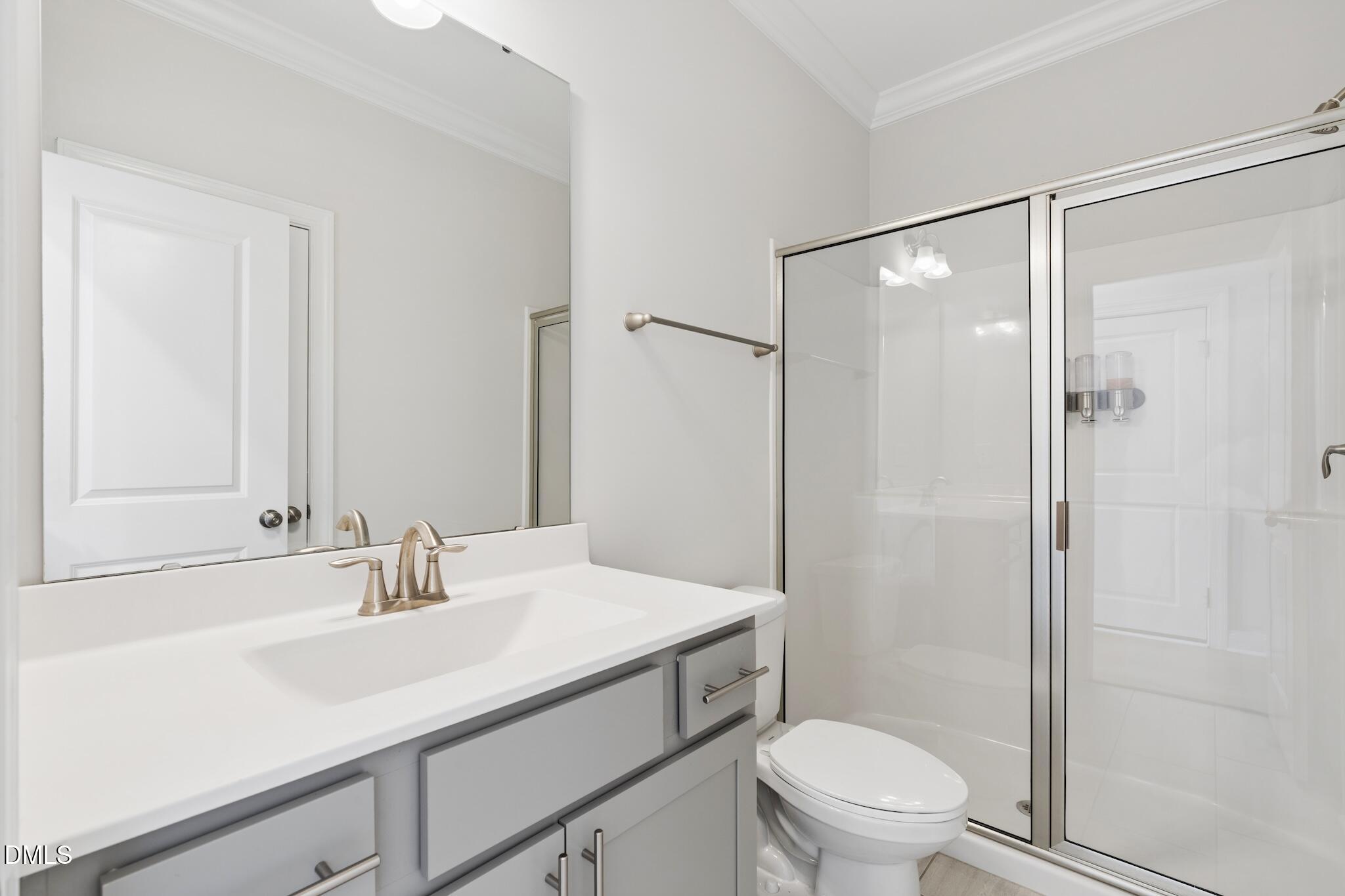 2616 Nordmann Fir Road Raleigh, NC 27616 - Photo 23 of 53 a bathroom with a sink a mirror a toilet and shower
