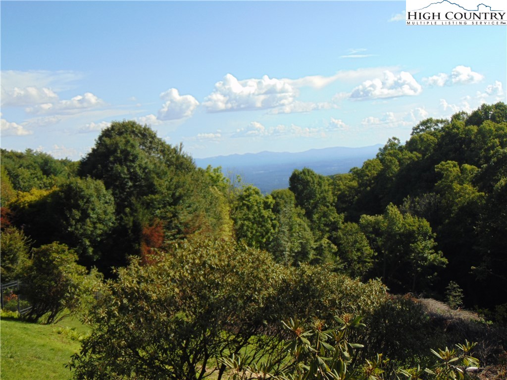 193 Rabbit Run Glade Valley, NC 28627 - Photo 2 of 17 Gallery Image 2