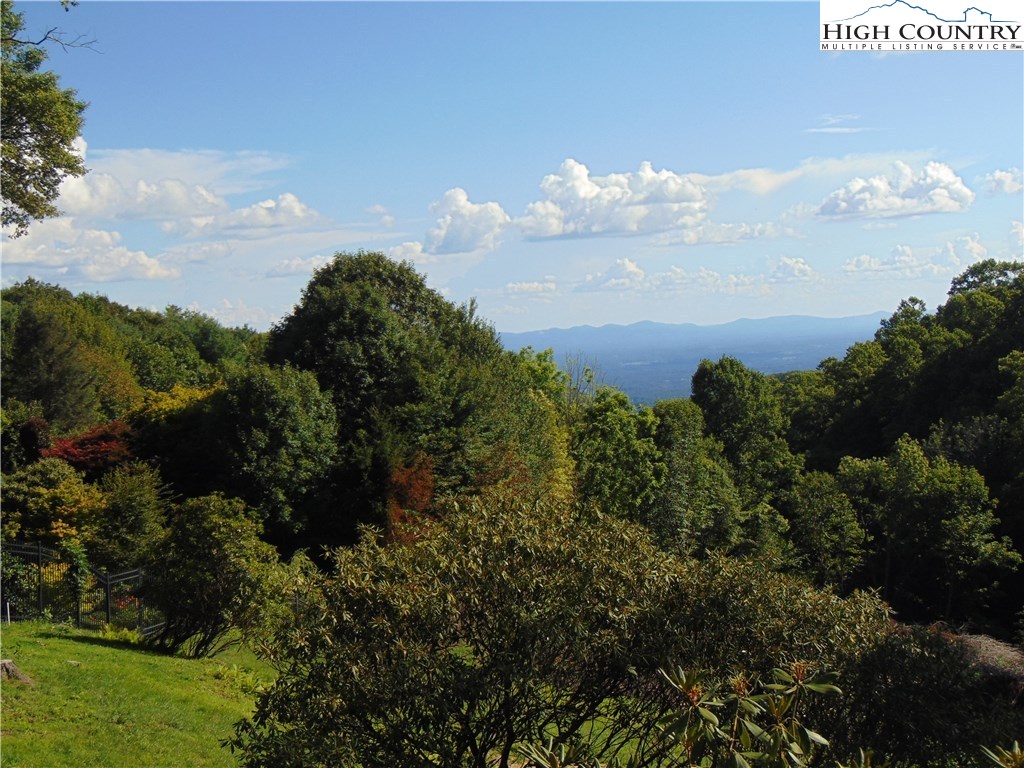 193 Rabbit Run Glade Valley, NC 28627 - Photo 3 of 17 Gallery Image 3