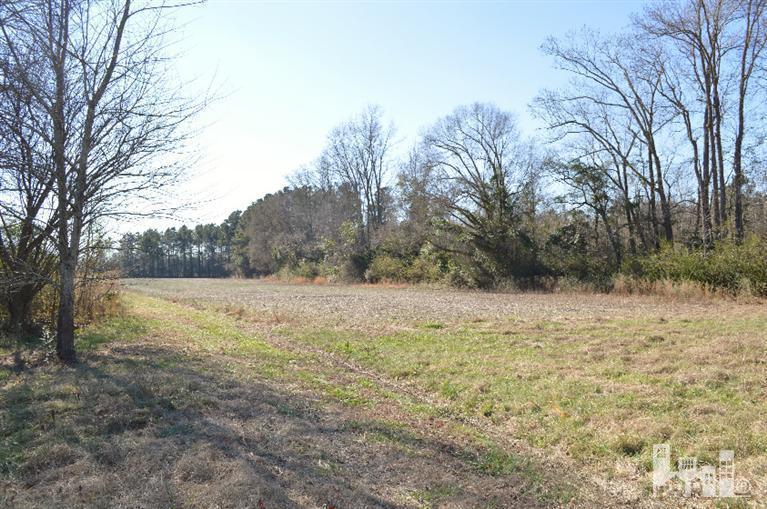 881 Beattys Bridge Road Atkinson, NC 28421 - Photo 11 of 24 Additional Photo