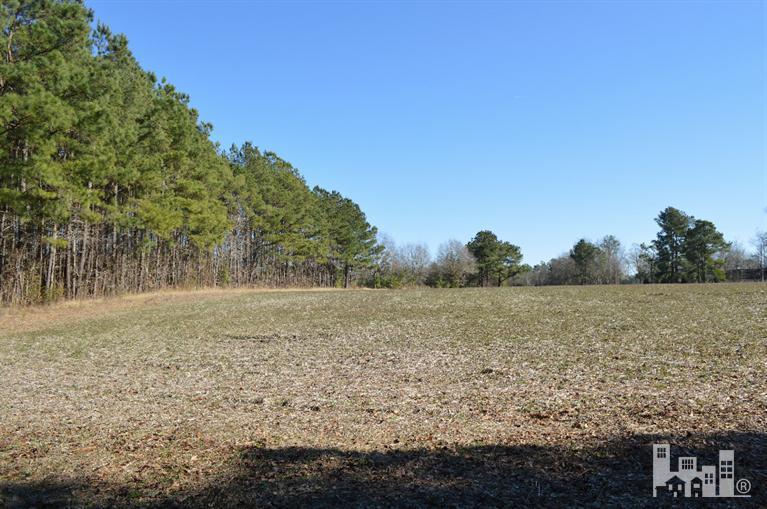 881 Beattys Bridge Road Atkinson, NC 28421 - Photo 13 of 24 Additional Photo