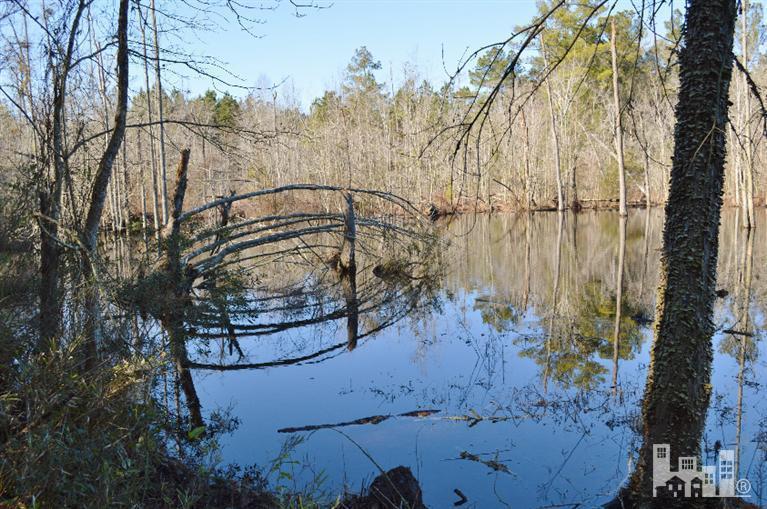 881 Beattys Bridge Road Atkinson, NC 28421 - Photo 19 of 24 Additional Photo
