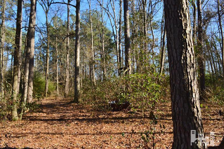 881 Beattys Bridge Road Atkinson, NC 28421 - Photo 20 of 24 Additional Photo