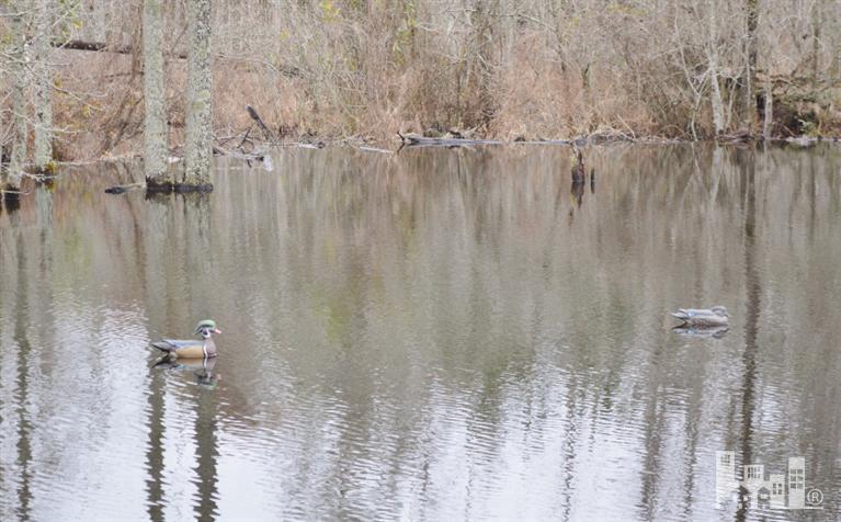 881 Beattys Bridge Road Atkinson, NC 28421 - Photo 2 of 24 Primary Photo