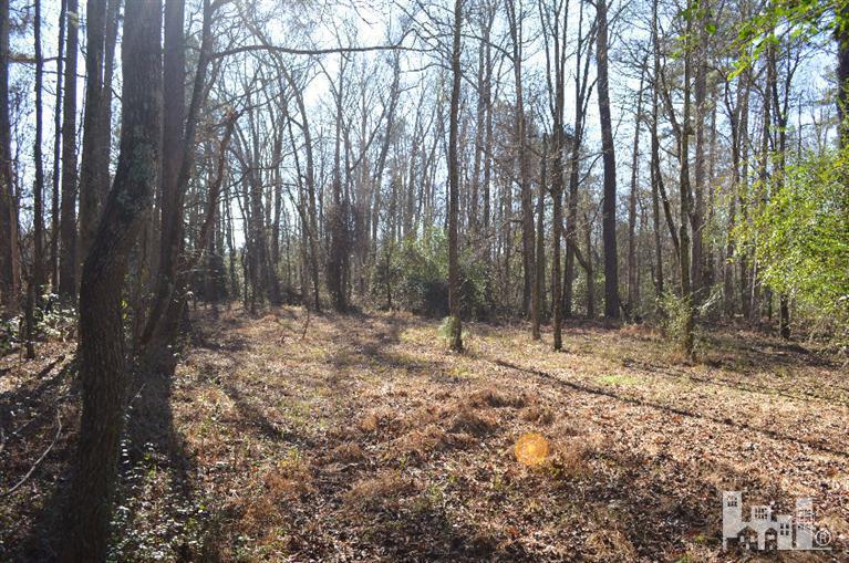 881 Beattys Bridge Road Atkinson, NC 28421 - Photo 22 of 24 Additional Photo