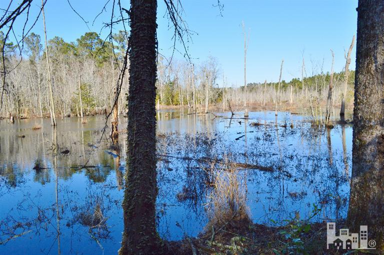 881 Beattys Bridge Road Atkinson, NC 28421 - Photo 7 of 24 Additional Photo