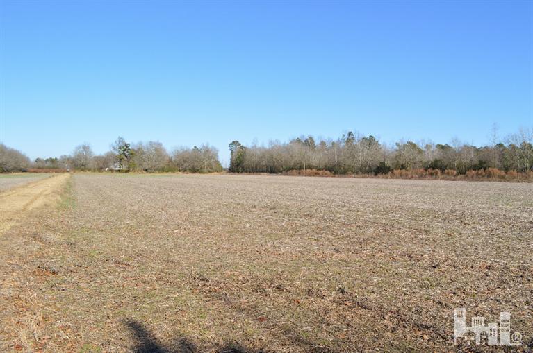 881 Beattys Bridge Road Atkinson, NC 28421 - Photo 10 of 24 Additional Photo