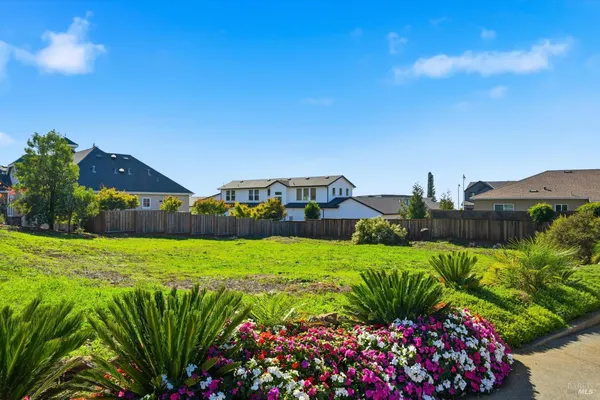 a view of a house with a big yard and potted plants