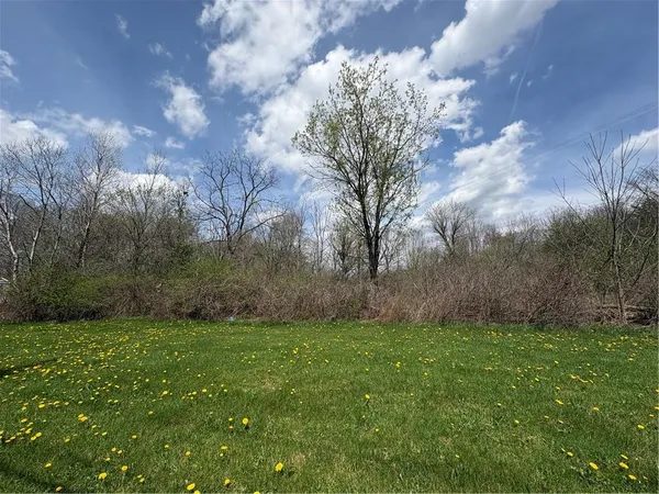 a view of a yard with large trees