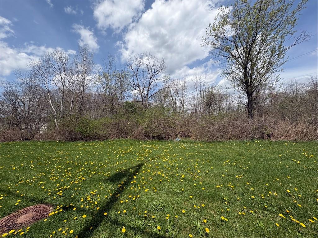 Lot#1 Boyers Road Harrisville, PA 16038 - Photo 2 of 3 a view of outdoor space and yard