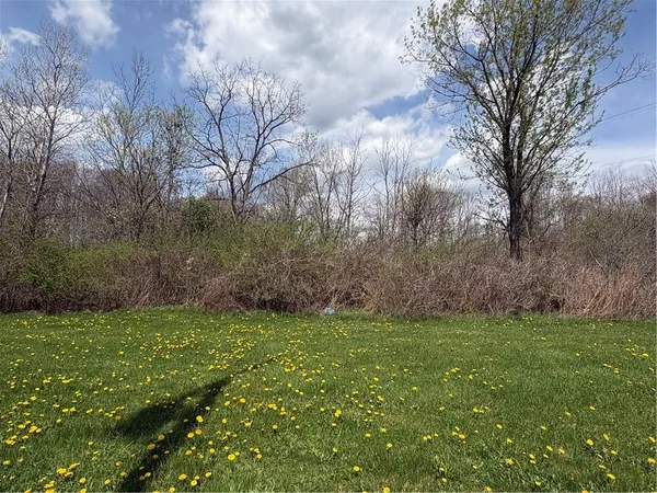 a view of a yard with a house