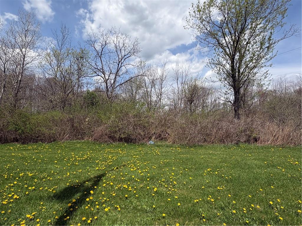 Lot#1 Boyers Road Harrisville, PA 16038 - Photo 3 of 3 a view of a yard with a house