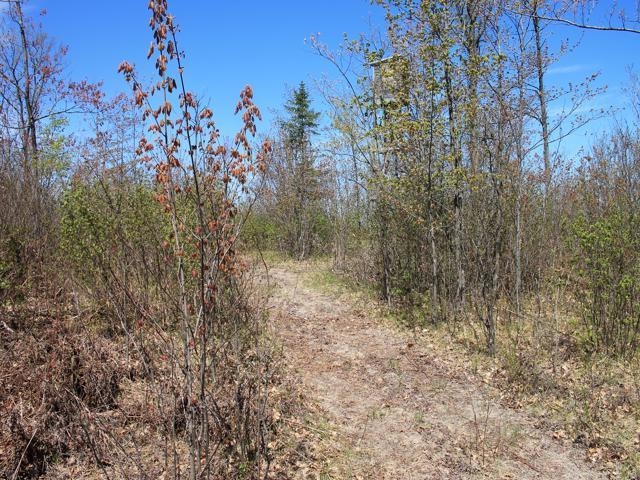 19081 Erickson Drive Dunbar, WI 54119 - Photo 22 of 87